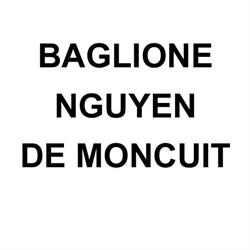 Baglione Nguyen de Moncuit SELARL, Vitré - Horaires d'ouverture