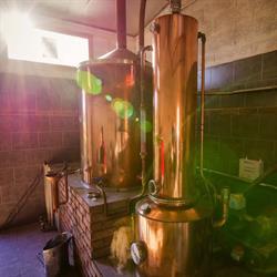 Distillerie de Bercloux, - Horaires d'ouverture