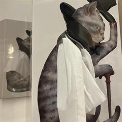 La Petite Lucarne, Meaux - Horaires d'ouverture