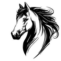 Le Cheval Blanc, Montrichard - Horaires d'ouverture