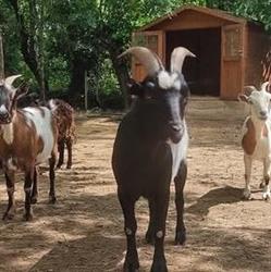 Camping La Source, Berrias-et-Casteljau - Horaires d'ouverture