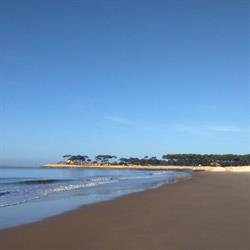 Le Repos, Saint-Palais-sur-Mer - Horaires d'ouverture