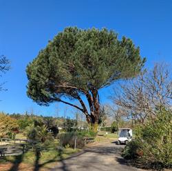Camping Les Pins du Soleil, Saint-Paul-lès-Dax - Horaires d'ouverture