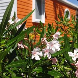 Camping Le Bois Verdon, Saint-Jean-de-Monts - Horaires d'ouverture