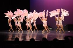 Académie de danse Viviani, Bastia - Horaires d'ouverture