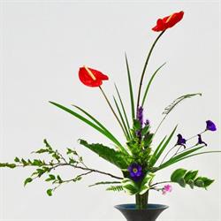École d'Ikebana, Art Floral, Toulouse - Horaires d'ouverture