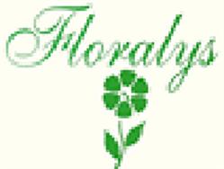 Floralys, Surgères - Horaires d'ouverture