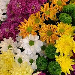 Isabelle Fleurs, Aire-sur-l'Adour - Horaires d'ouverture