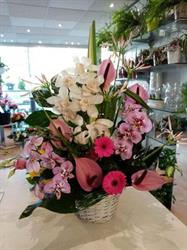 Des Fleurs En Plus, Beauvais - Horaires d'ouverture
