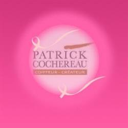 Cochereau Patrick SARL, Saint-Martin-des-Champs - Horaires d'ouverture