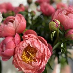 A Fleur de Pot, Janzé - Horaires d'ouverture