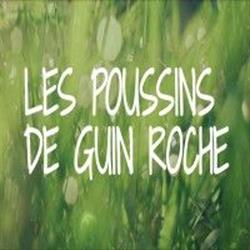 Les Poussins De Guin Roche, Dounoux - Horaires d'ouverture