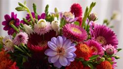 Quelques Fleurs, Airaines - Horaires d'ouverture