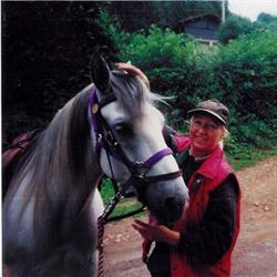 Centre Equestre Tout Crins, Mhère - Horaires d'ouverture