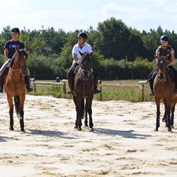 Les Ecuries de Rocher, Feneu - Horaires d'ouverture