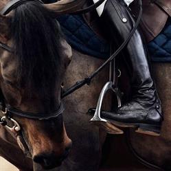 L'etrier Briviste, Brive-la-Gaillarde - Horaires d'ouverture