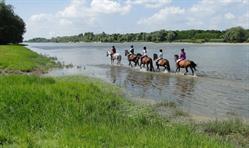 Club Hippique L'etrier Wallon, Poilly-lez-Gien - Horaires d'ouverture