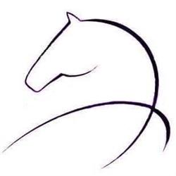 Centre Equestre, Abidos - Horaires d'ouverture