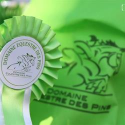Domaine Equestre Des Pins, Fontenay-le-Fleury - Horaires d'ouverture