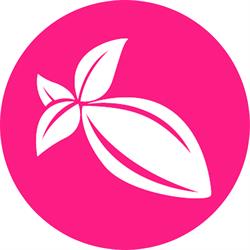 De Neuville Chocolats Français, Challans - Horaires d'ouverture