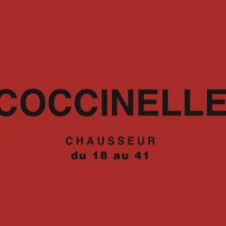 Coccinelle chaussures, Vannes - Horaires d'ouverture