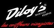 Salon Diloy's Cugnaux, - Horaires d'ouverture