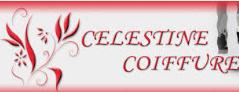 Célestine Coiffure, Dieulouard - Horaires d'ouverture