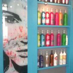 Art Salon, Livarot-Pays-d'Auge - Horaires d'ouverture