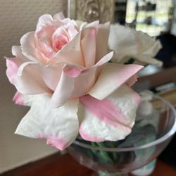 L'ile Aux Cheveux, Pencran - Horaires d'ouverture