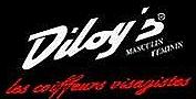 Salon Diloy's Plaisance Du Touch, Plaisance-du-Touch - Horaires d'ouverture