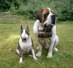 Pension Canine du Pays du Mont-Blanc - Les Houches 74310, - Horaires d'ouverture