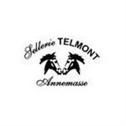 Telmont SARL, Annemasse - Horaires d'ouverture