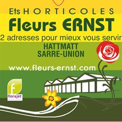 Ernst, Hattmatt - Horaires d'ouverture