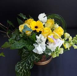 Espace Fleurs, Gournay-en-Bray - Horaires d'ouverture