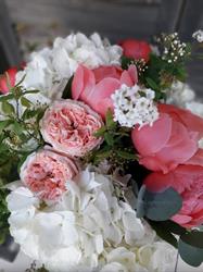 Fleurs d'Azur Antonia, Grasse - Horaires d'ouverture