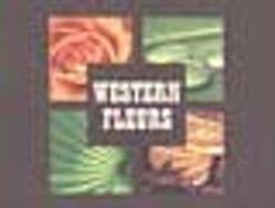 Western Fleurs, Ambérieu-en-Bugey - Horaires d'ouverture
