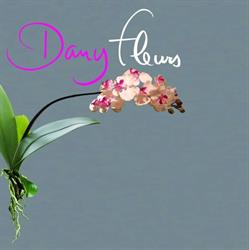 Dany Fleurs, Rostrenen - Horaires d'ouverture