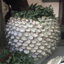 Aux Saisons Des Fleurs, Lons-le-Saunier - Horaires d'ouverture
