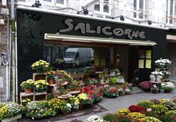 Salicorne, Bréhal - Horaires d'ouverture