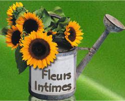 Fleurs Intimes, Meaux - Horaires d'ouverture
