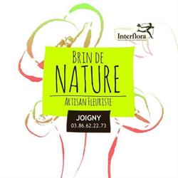 Brin de Nature, Joigny - Horaires d'ouverture
