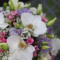 Jardin De Florette, Jouques - Horaires d'ouverture