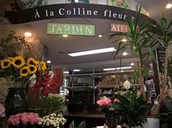 À la Colline Fleurie, Paris - Horaires d'ouverture