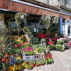 Au Printemps Fleuri, Pontoise - Horaires d'ouverture