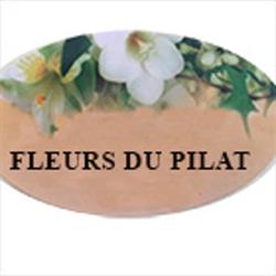 Fleurs Du Pilat Mr GIRON BOURDON, Saint-Étienne - Horaires d'ouverture