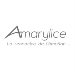 Amarylice Fleurs, Lyon - Horaires d'ouverture