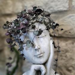 Le Vent Des Fleurs, Challans - Horaires d'ouverture