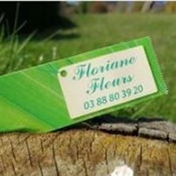Floriane Fleurs, Niederbronn-les-Bains - Horaires d'ouverture