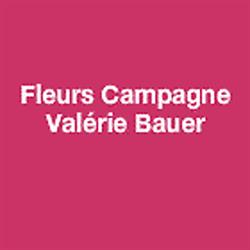Fleurs Campagne Valérie Bauer, Bourges - Horaires d'ouverture