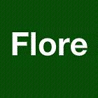 FLORE, Denain - Horaires d'ouverture
